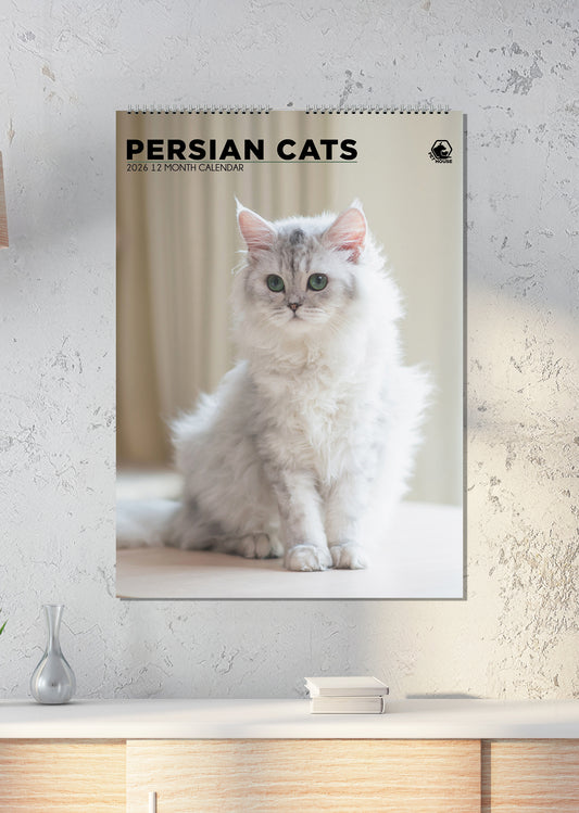 Persian Cats - A3 Calendar 2026