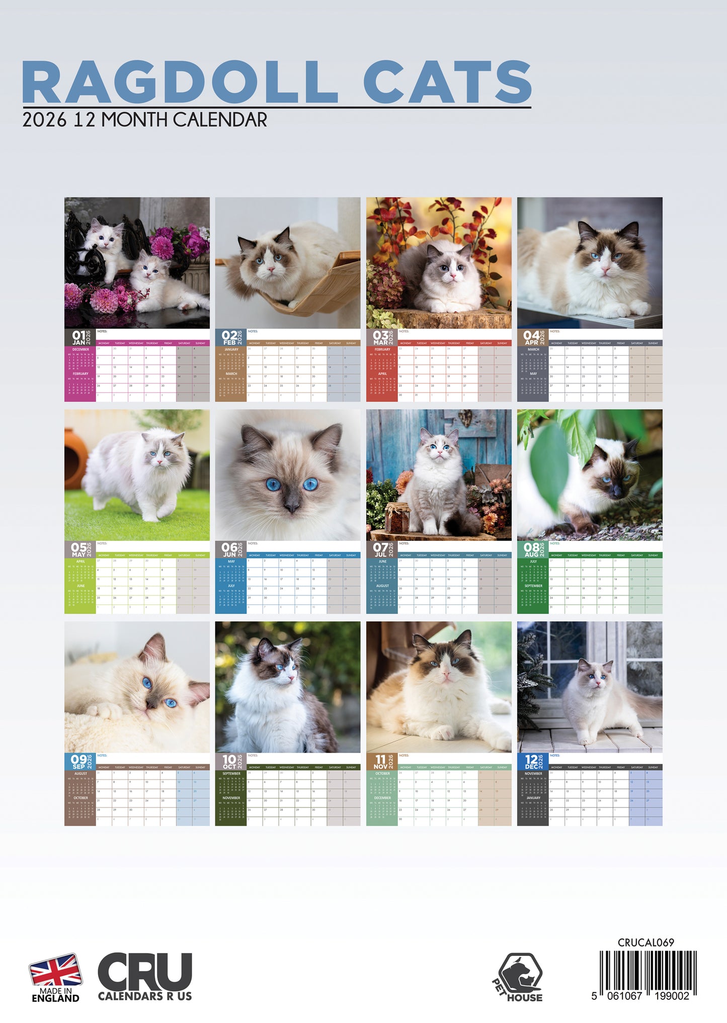 Ragdoll Cats - A3 Calendar 2026