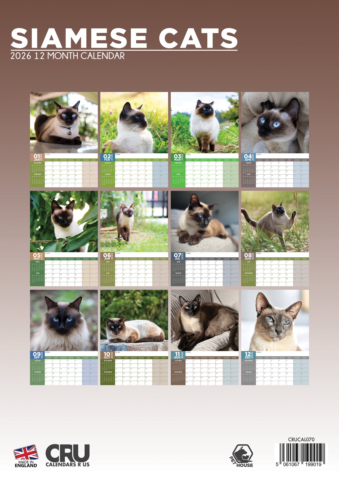 Siamese Cats - A3 Calendar 2026