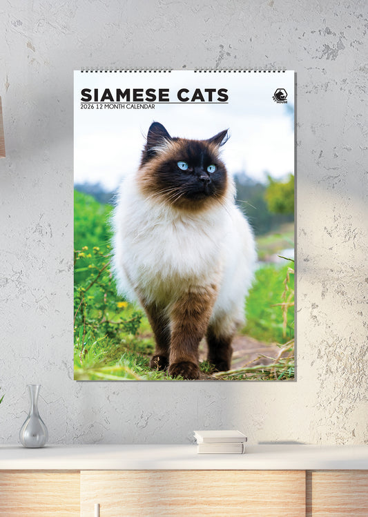 Siamese Cats - A3 Calendar 2026