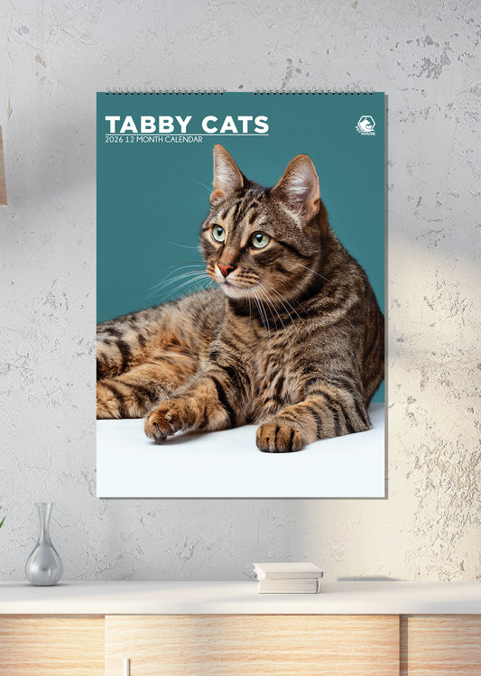 Tabby Cats - A3 Calendar 2026