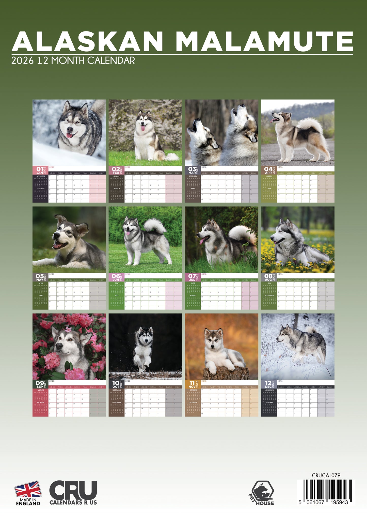 Alaskan Malamute - A3 Calendar 2026