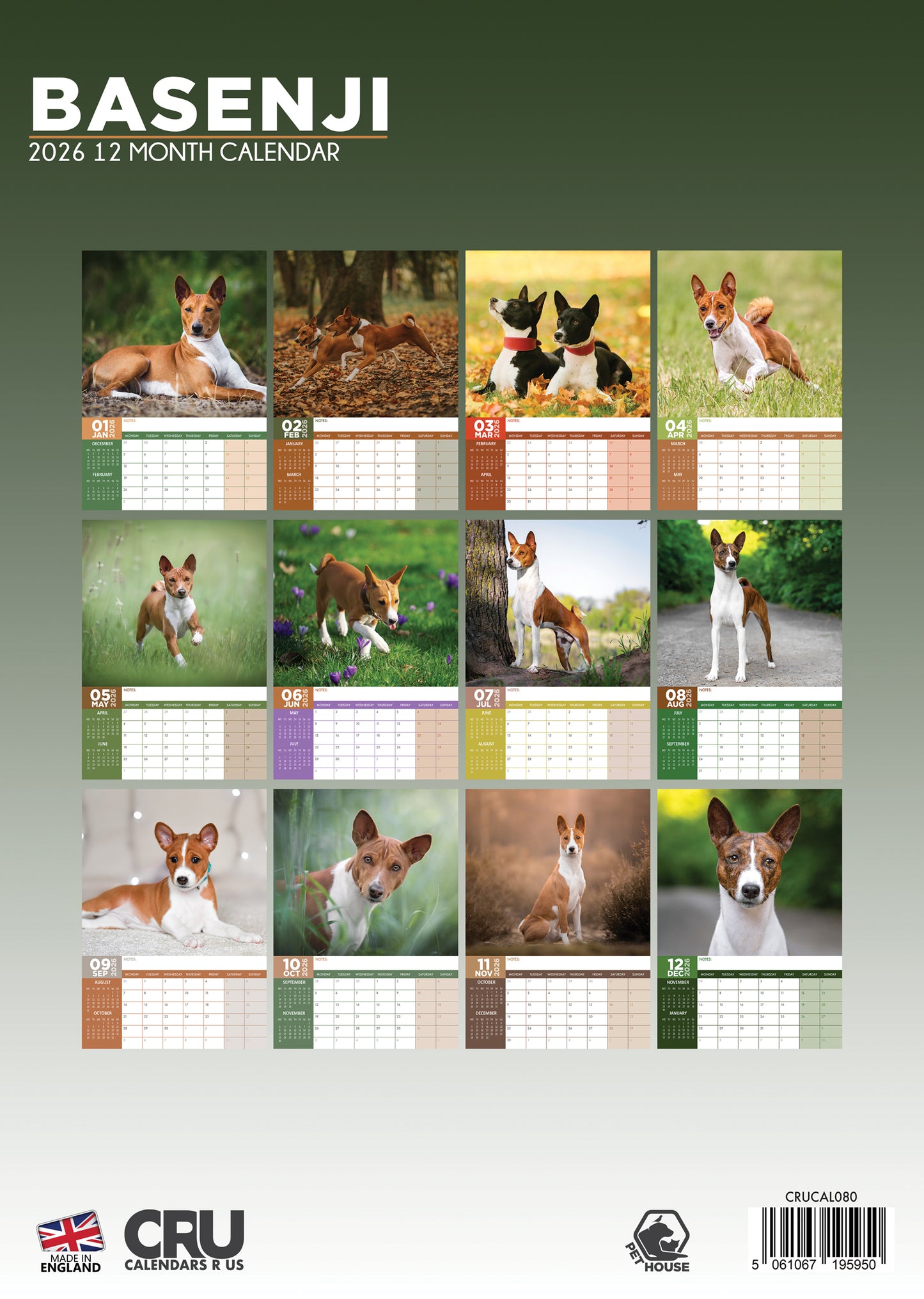 Basenji - A3 Calendar 2026