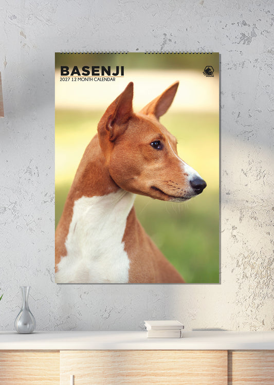 Basenji - A3 Calendar 2027