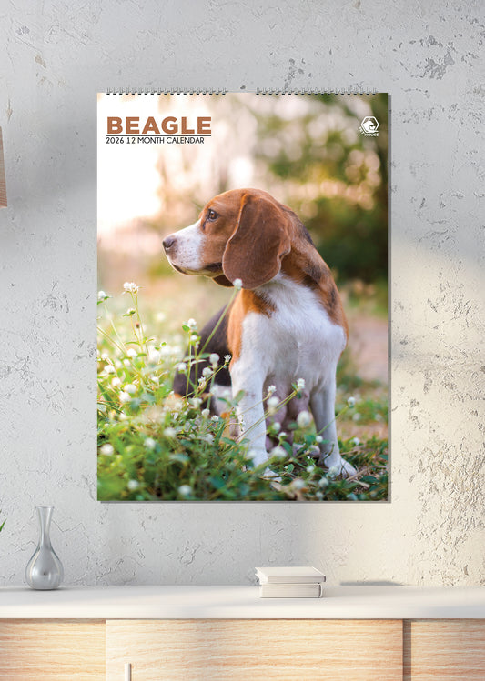 Beagle - A3 Calendar 2026
