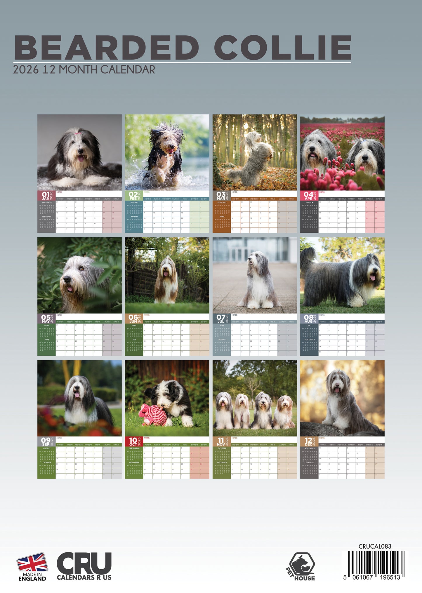 Bearded Collie - A3 Calendar 2026