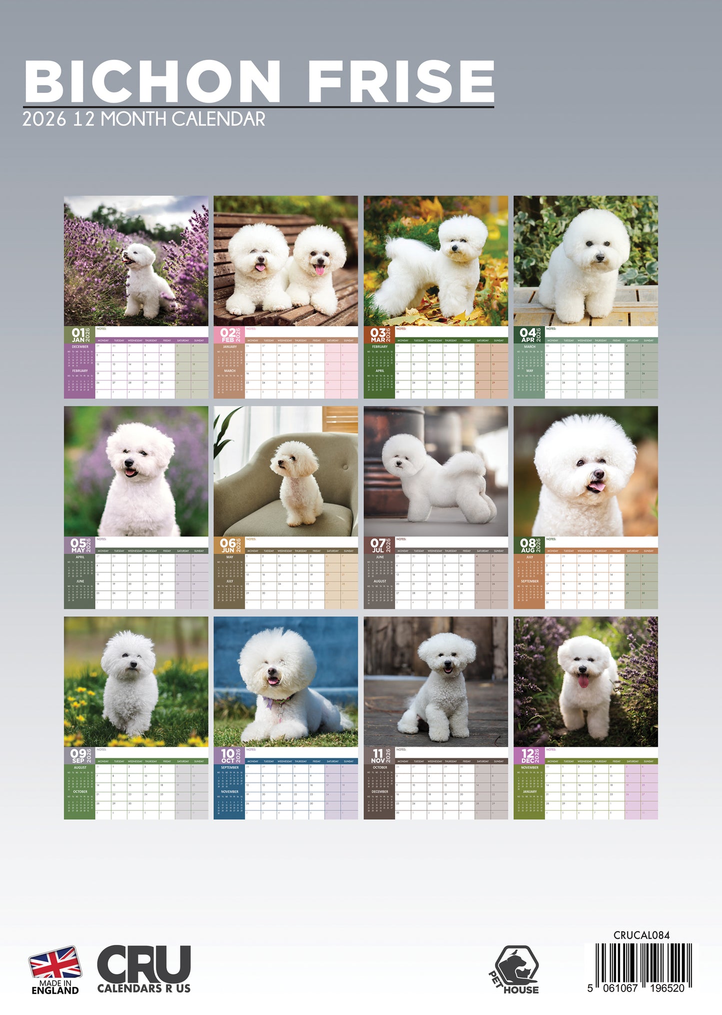 Bichon Frise - A3 Calendar 2026