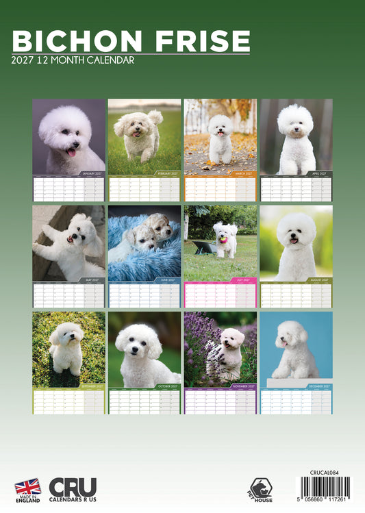Bichon Frise - A3 Calendar 2027