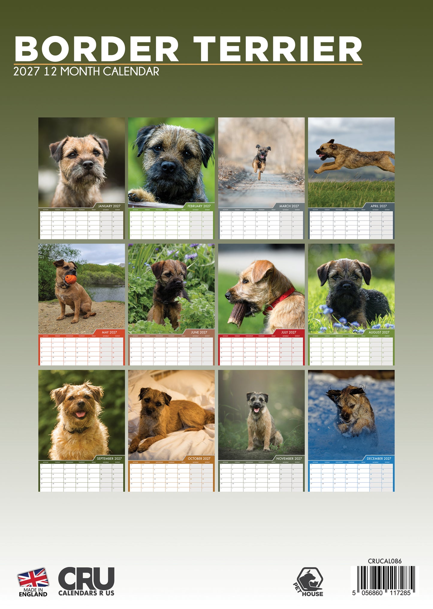 Border Terrier - A3 Calendar 2027