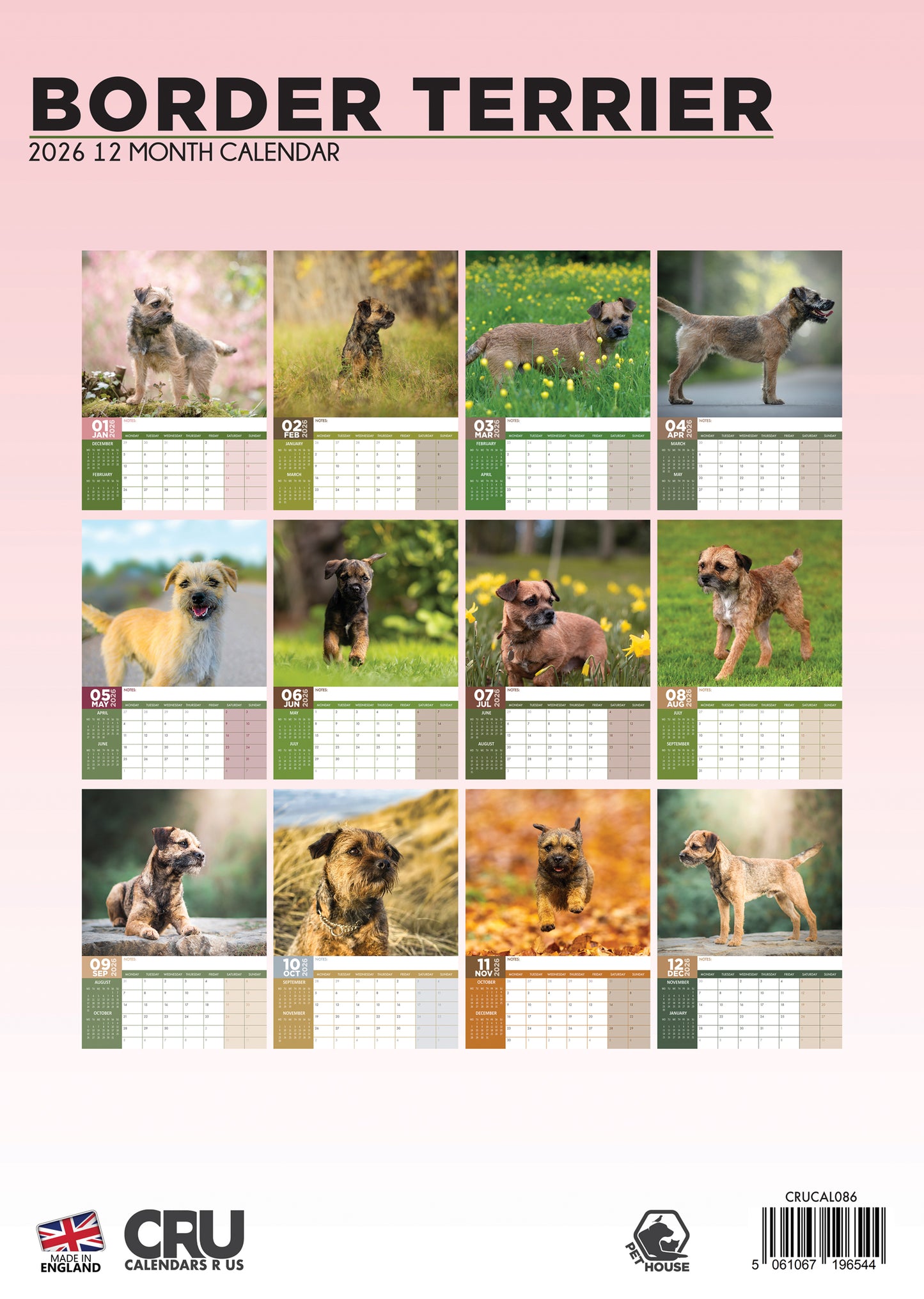 Border Terrier - A3 Calendar 2026