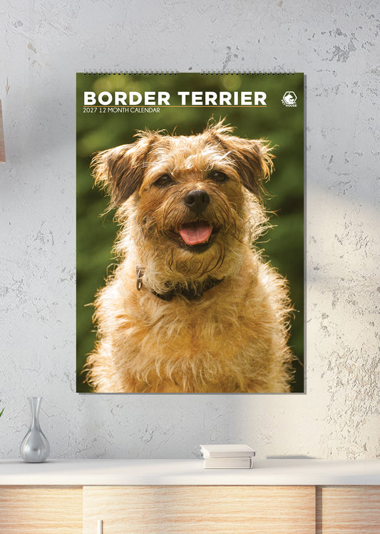 Border Terrier - A3 Calendar 2027