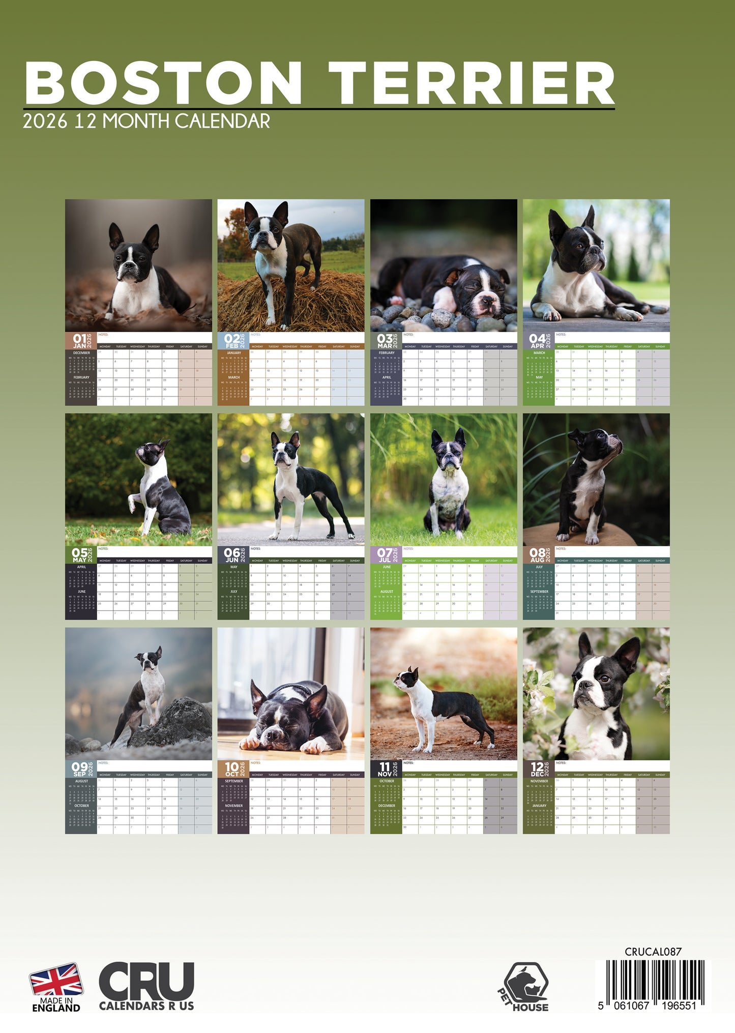 Boston Terrier - A3 Calendar 2026