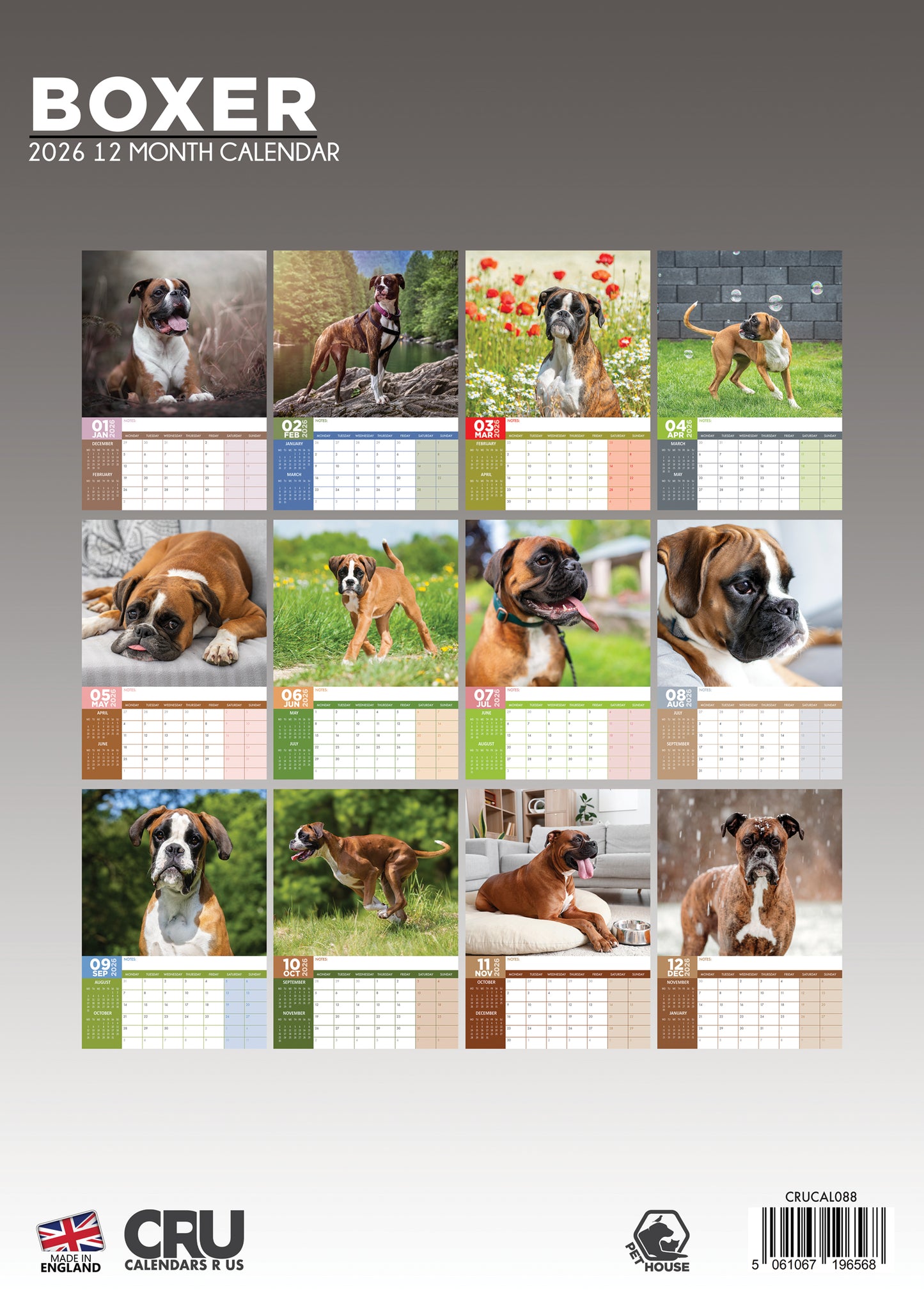 Boxer - A3 Calendar 2026