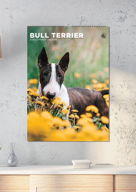 Bull Terrier - A3 Calendar 2026