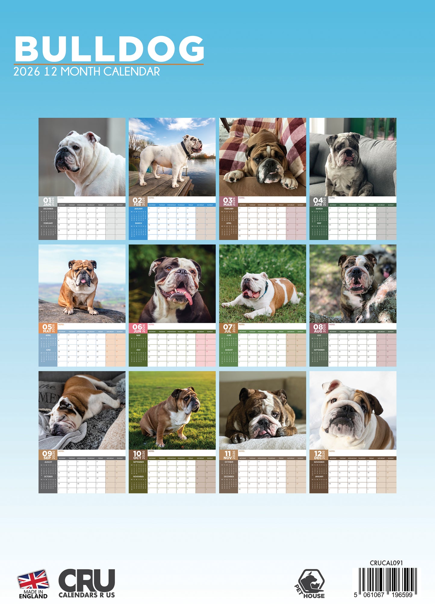 Bulldog - A3 Calendar 2026