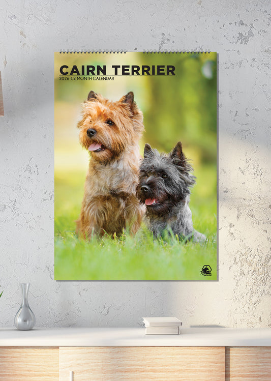 Cairn Terrier - A3 Calendar 2026