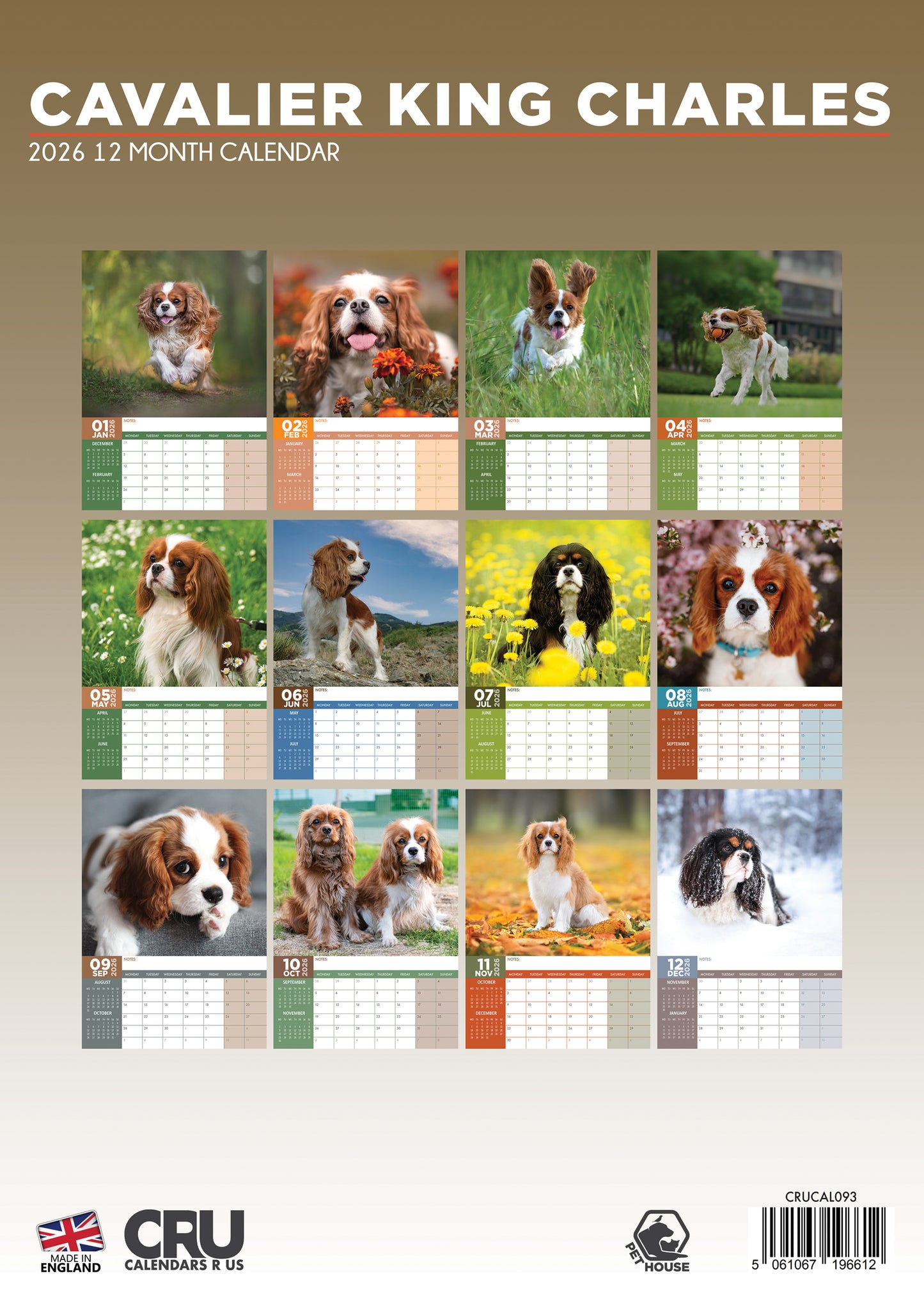 Cavalier King Charles - A3 Calendar 2026