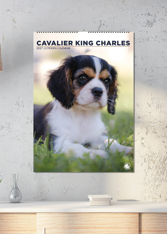 Cavalier King Charles - A3 Calendar 2027