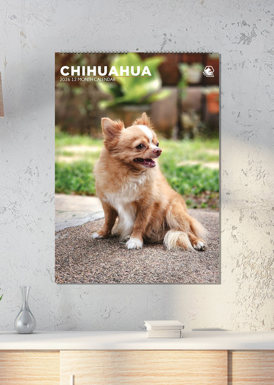 Chihuahua - A3 Calendar 2026