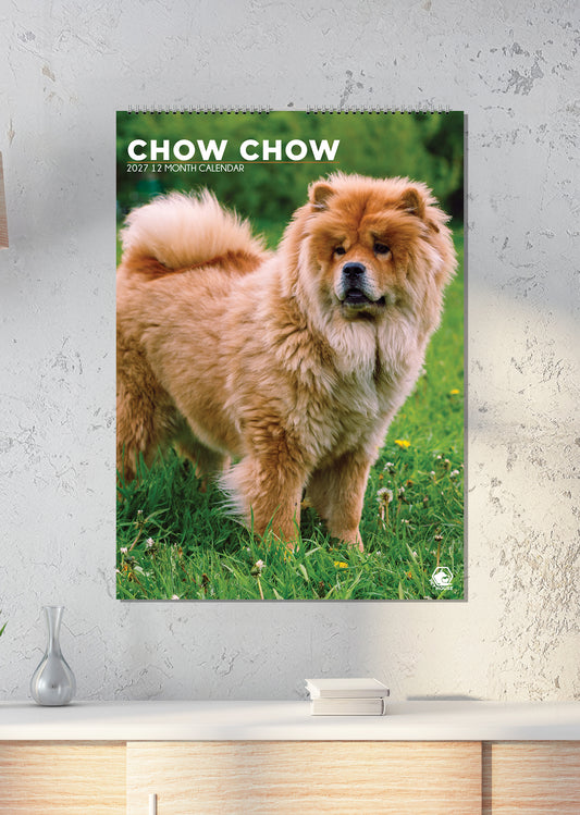 Chow Chow - A3 Calendar 2027