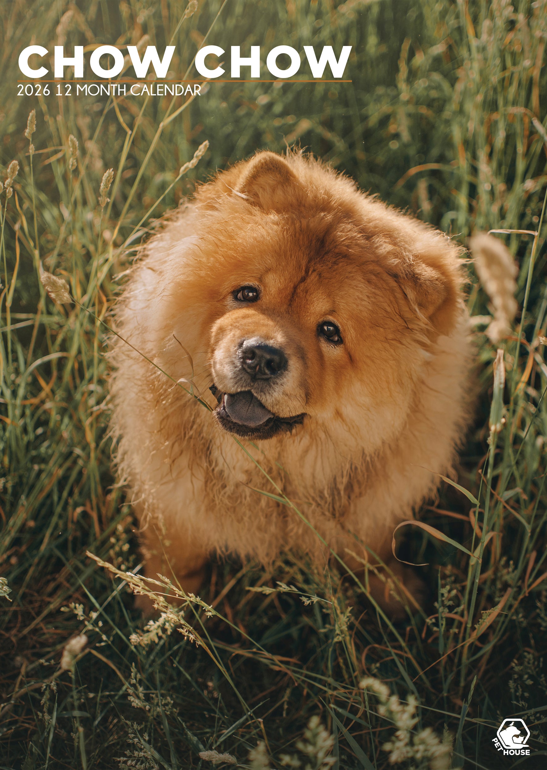 Chow Chow A3 Calendar 2026 CalendarsRus