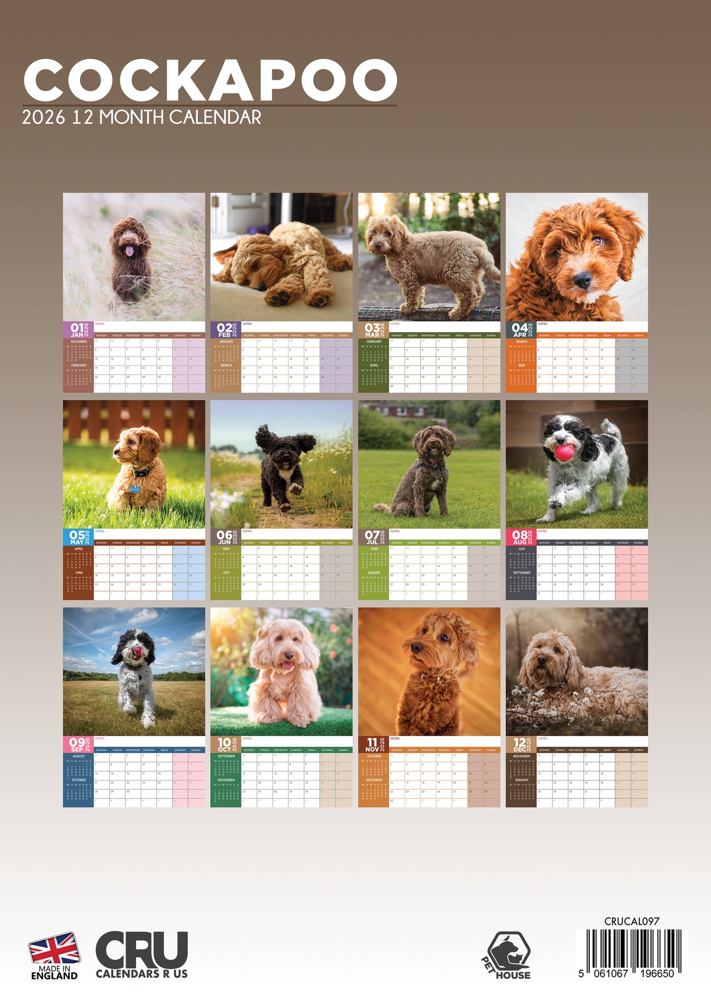 Cockapoo - A3 Calendar 2026