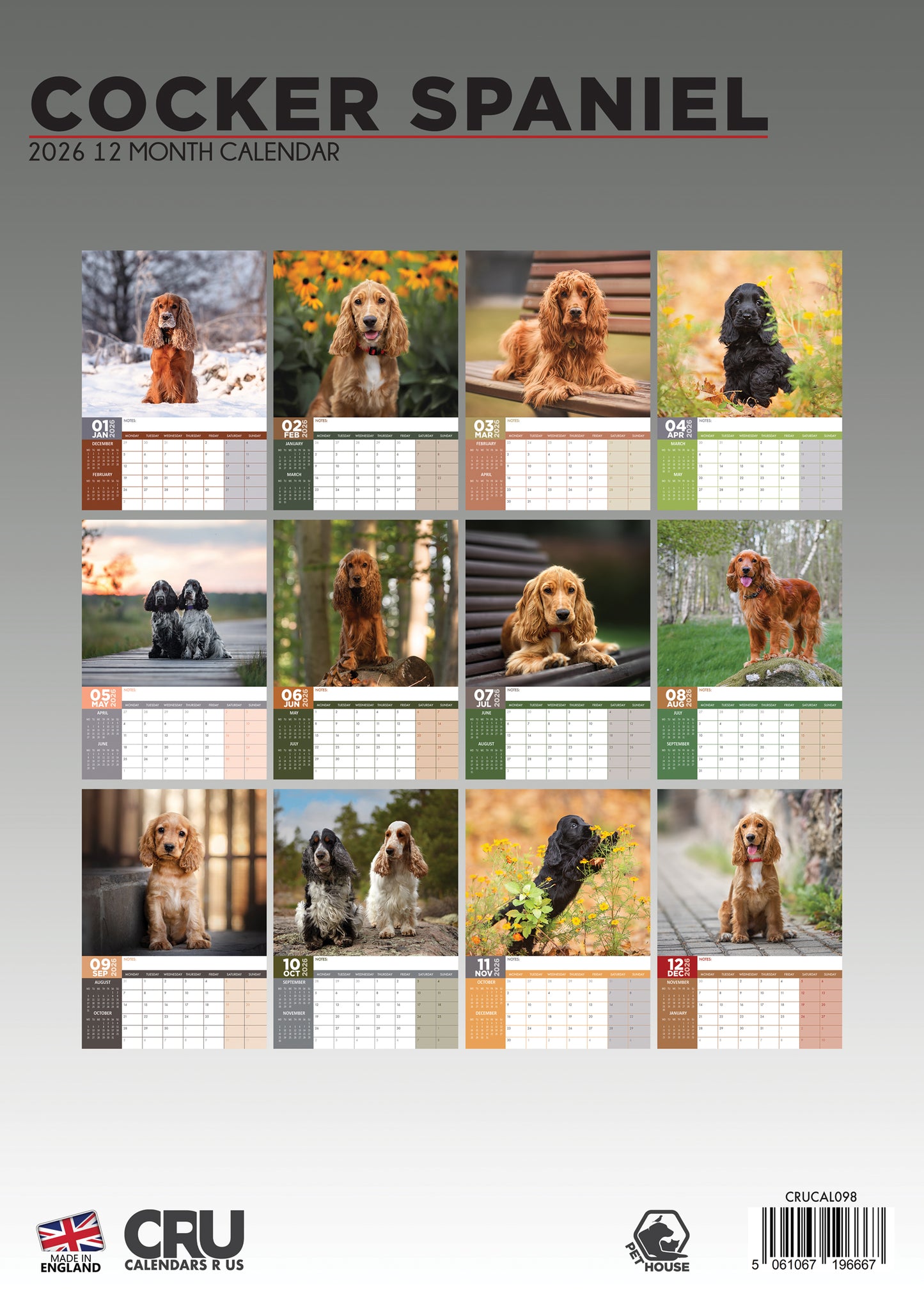 Cocker Spaniel - A3 Calendar 2026