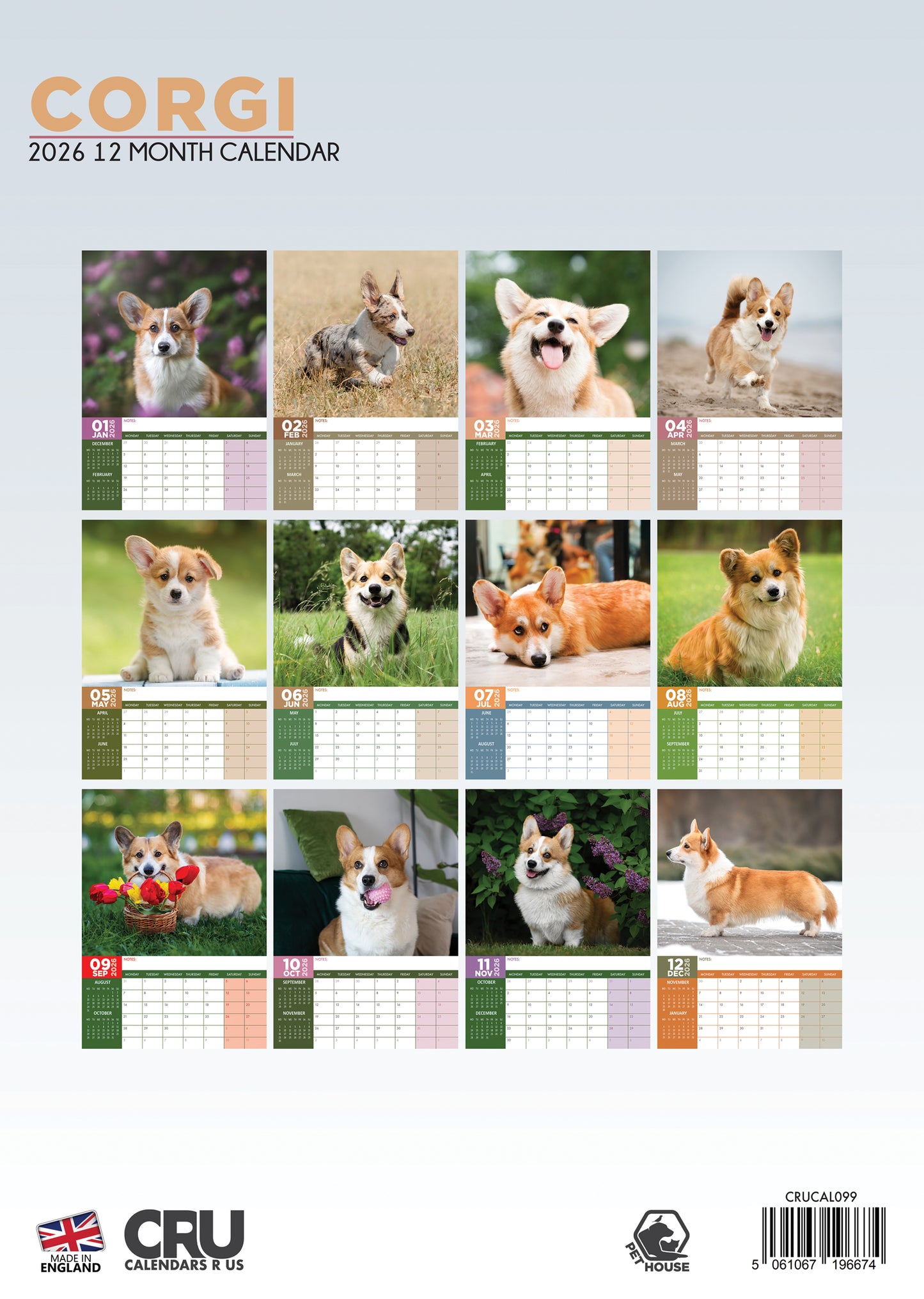 Corgi - A3 Calendar 2026