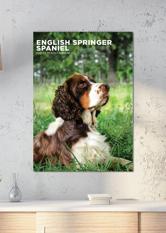 English Springer Spaniel - A3 Calendar 2027
