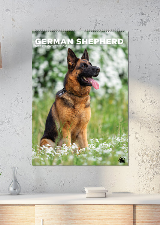 German Shepherd - A3 Calendar 2027