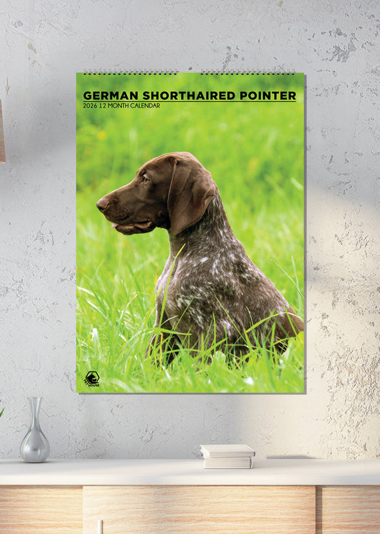 German Short Haired Pointer - A3 Calendar 2026