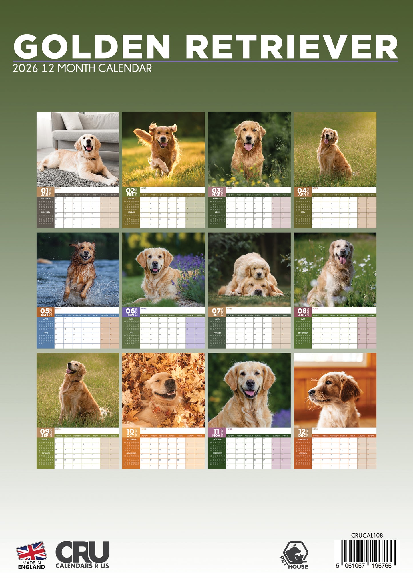 Golden Retriever - A3 Calendar 2026