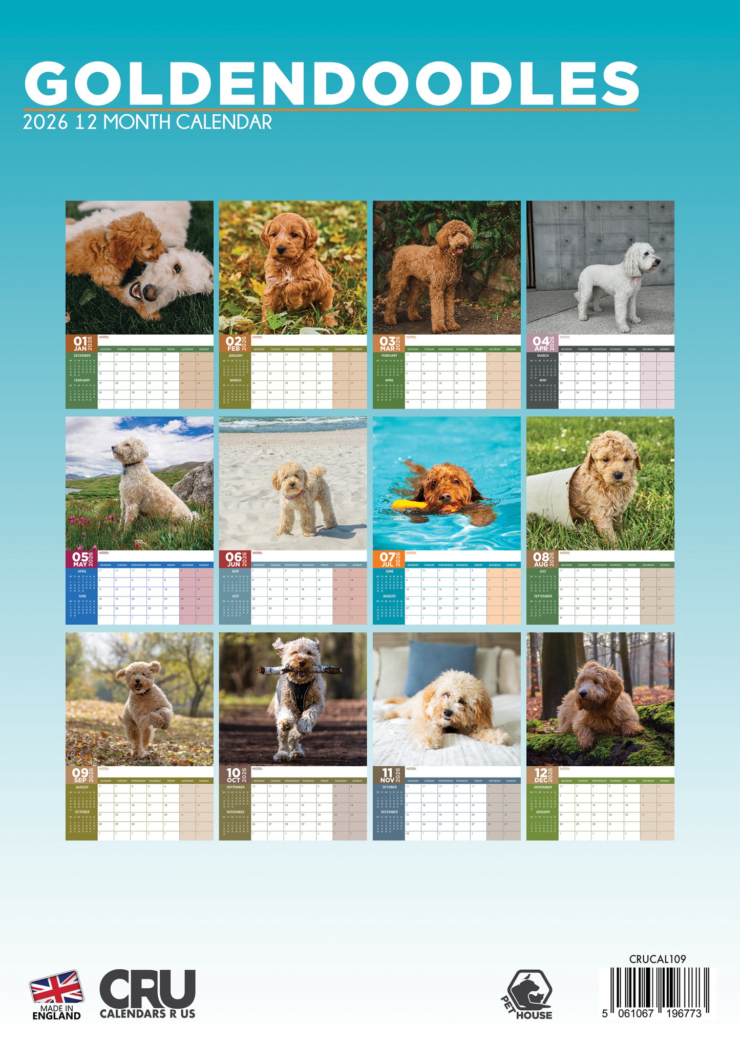 Goldendoodles - A3 Calendar 2026