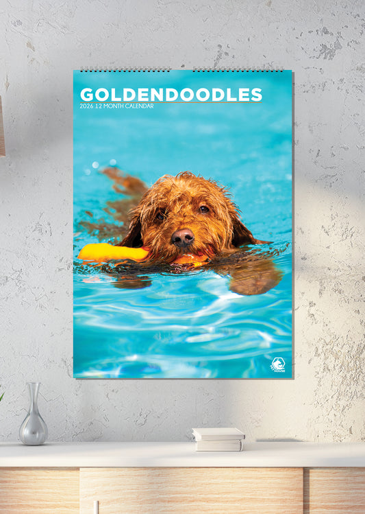 Goldendoodles - A3 Calendar 2026