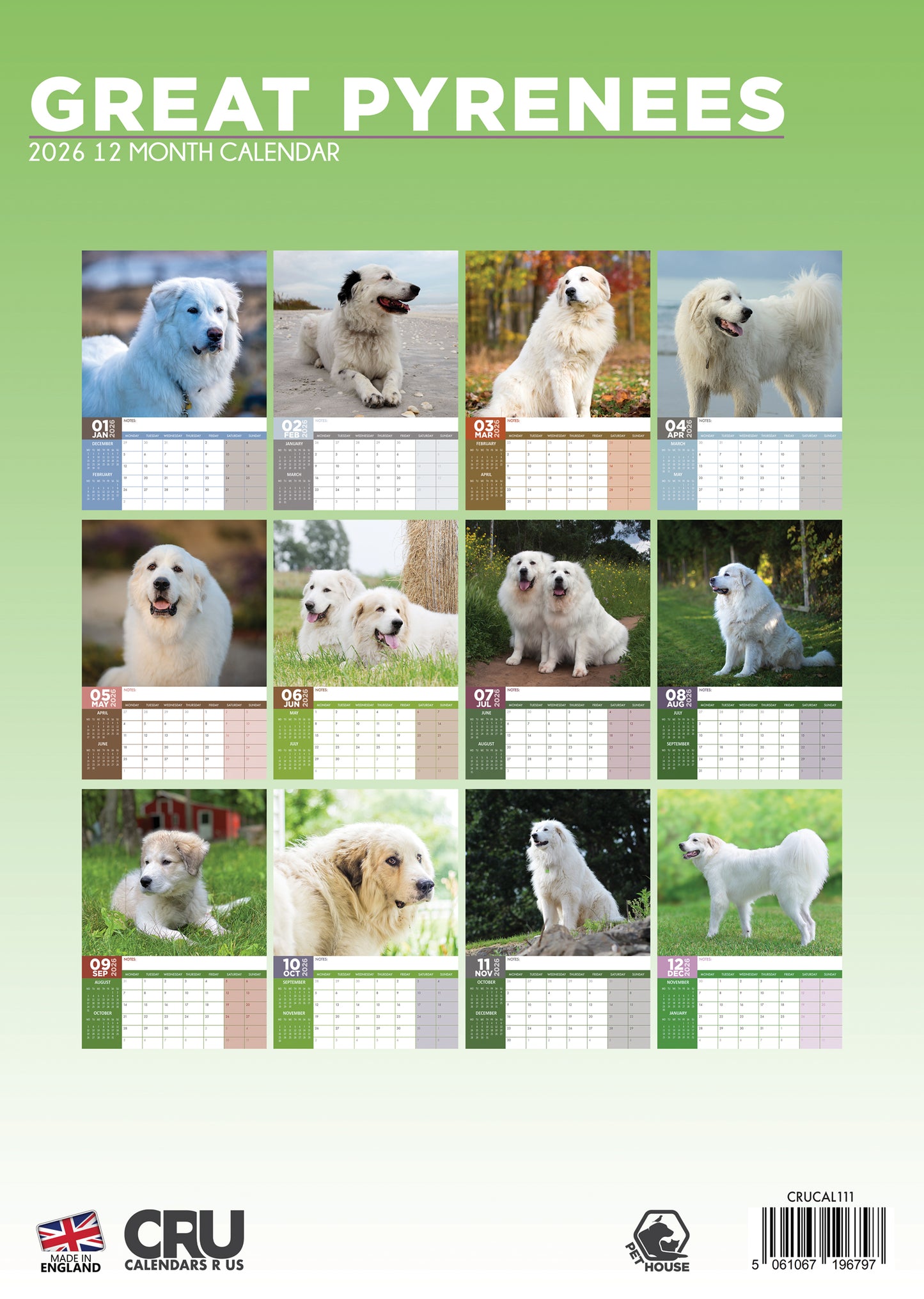 Great Pyrenees - A3 Calendar 2026