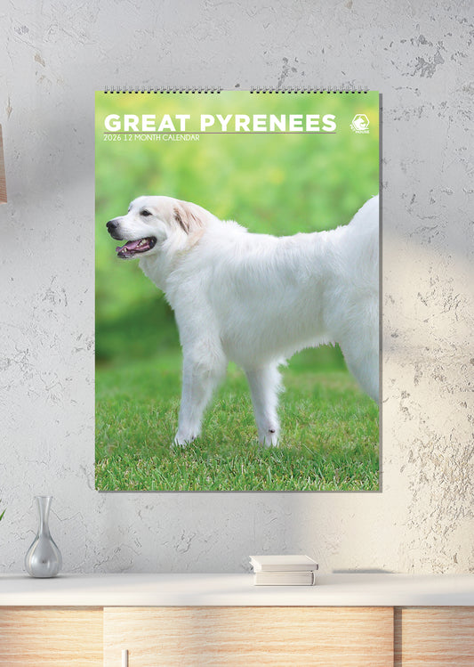 Great Pyrenees - A3 Calendar 2026