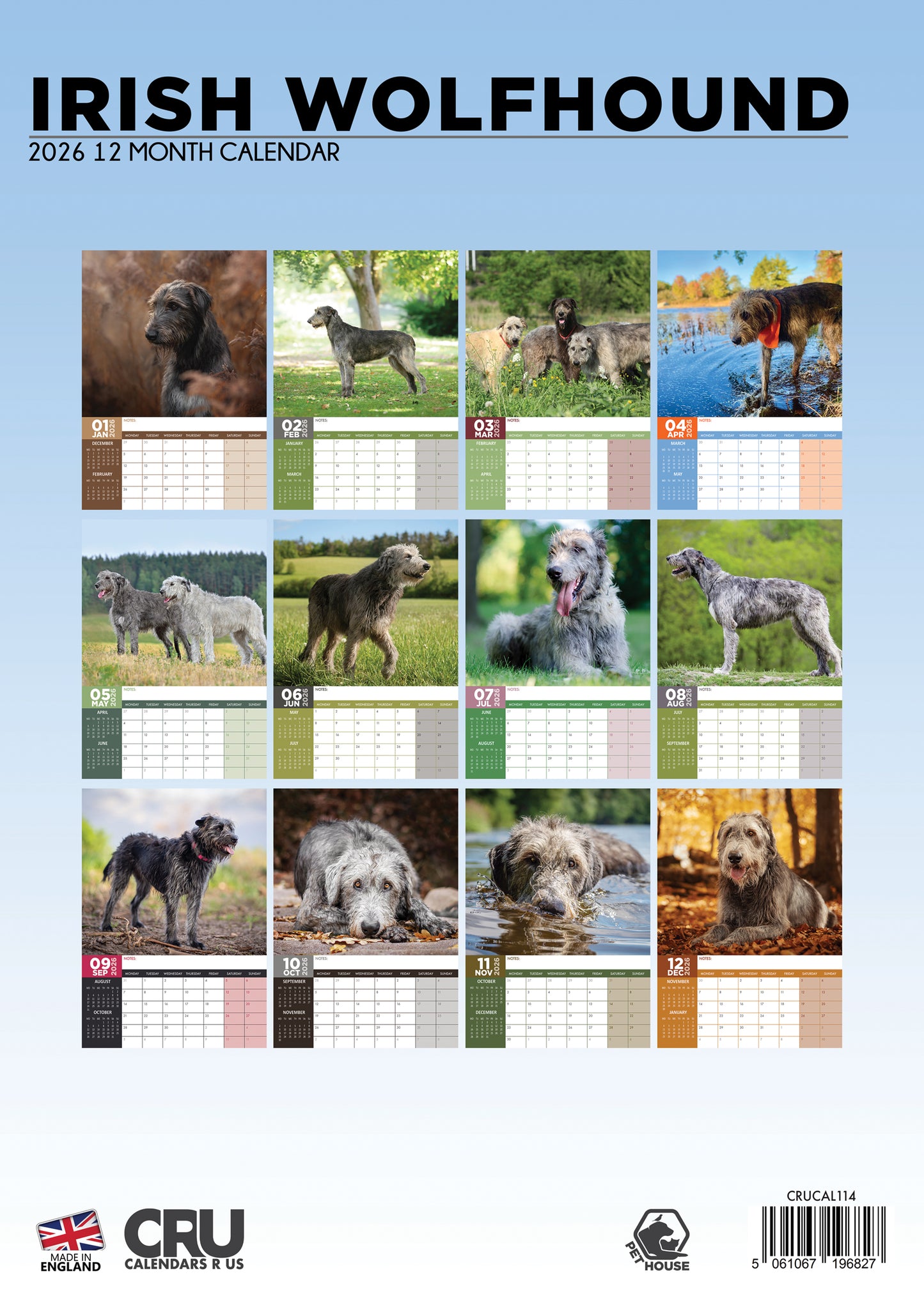Irish Wolfhound - A3 Calendar 2026