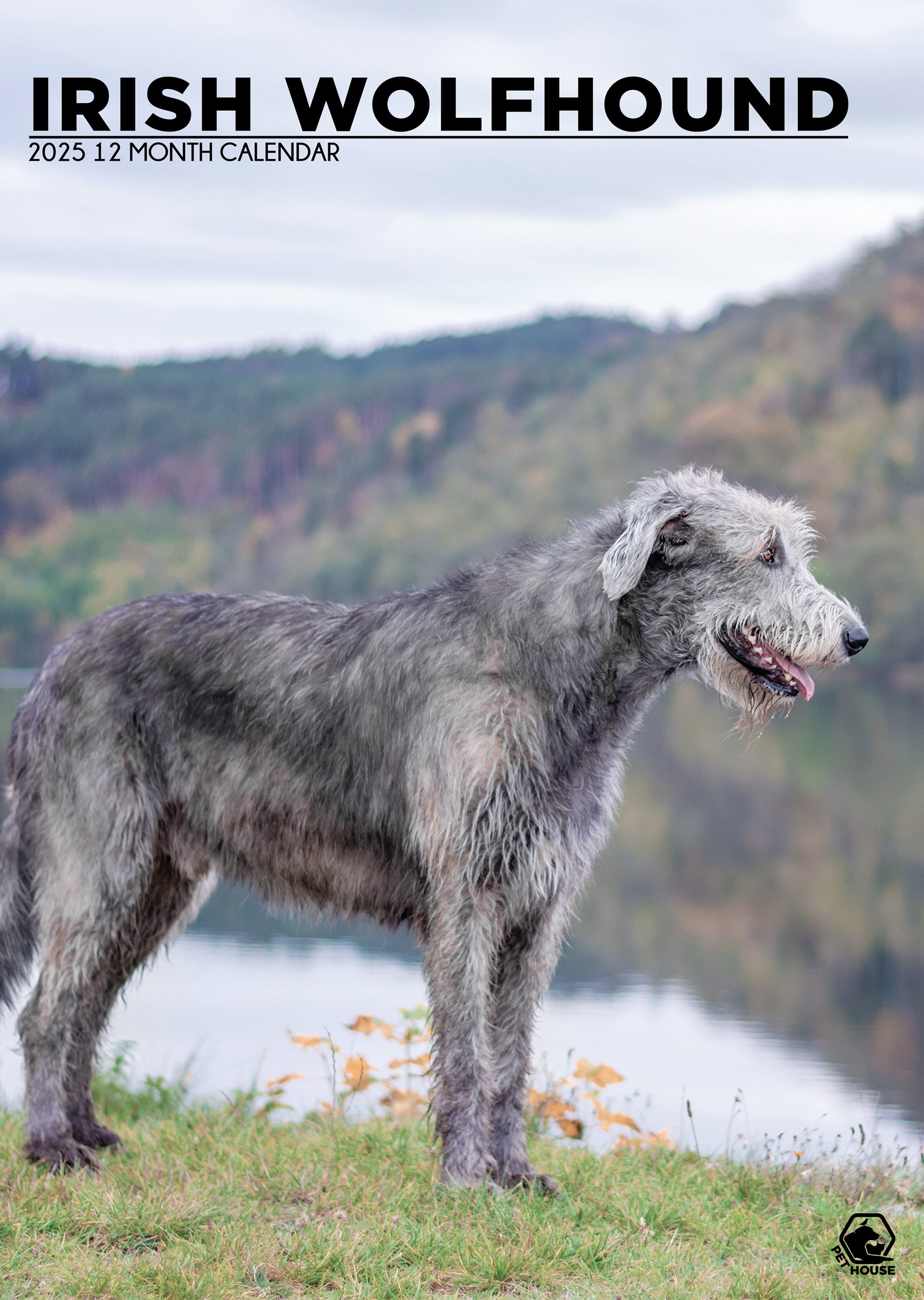 Irish Wolfhound Calendar 2025 CalendarsRus