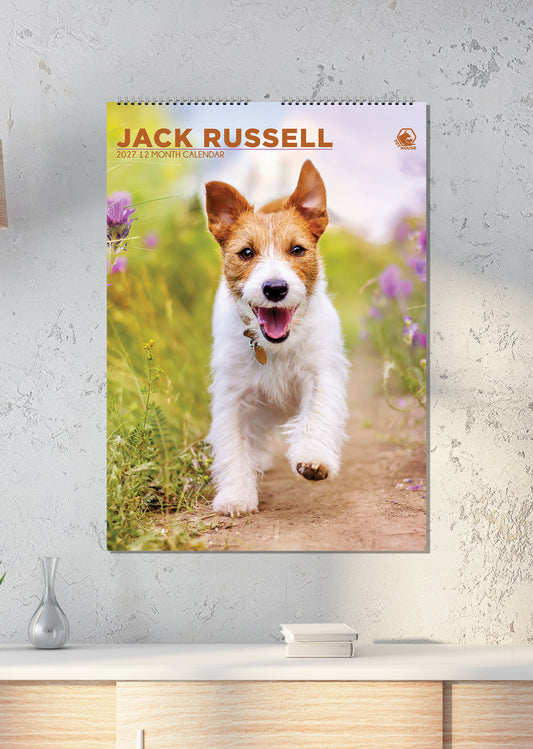 Jack Russell - Calendar 2027