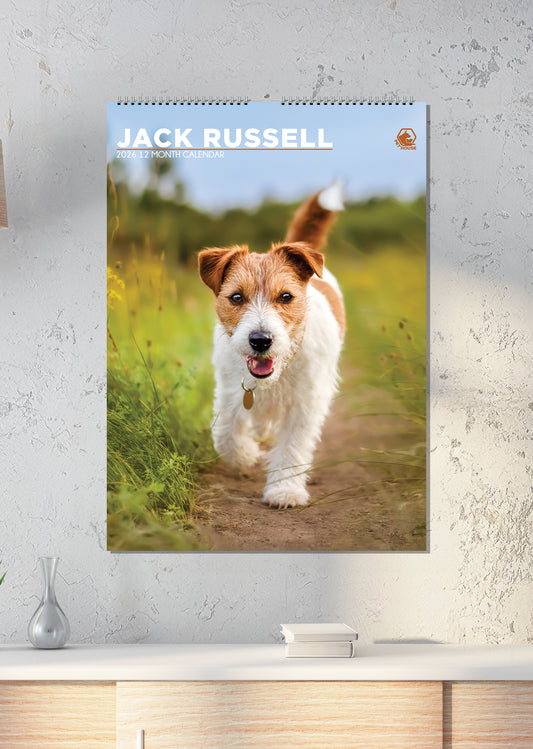 Jack Russell - Calendar 2026