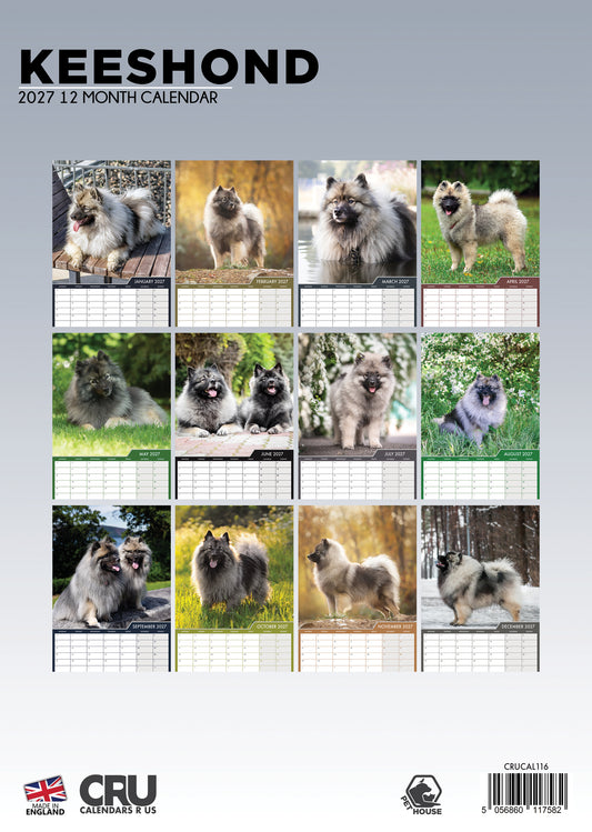 Keeshond - A3 Calendar 2027