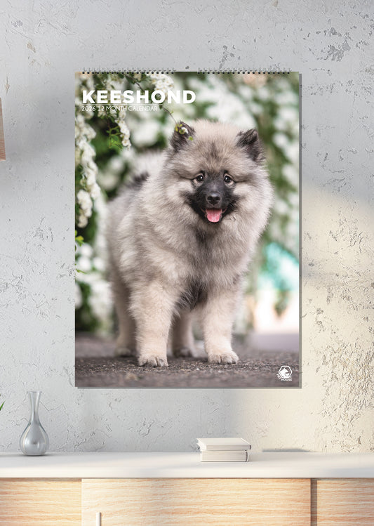 Keeshond - A3 Calendar 2026