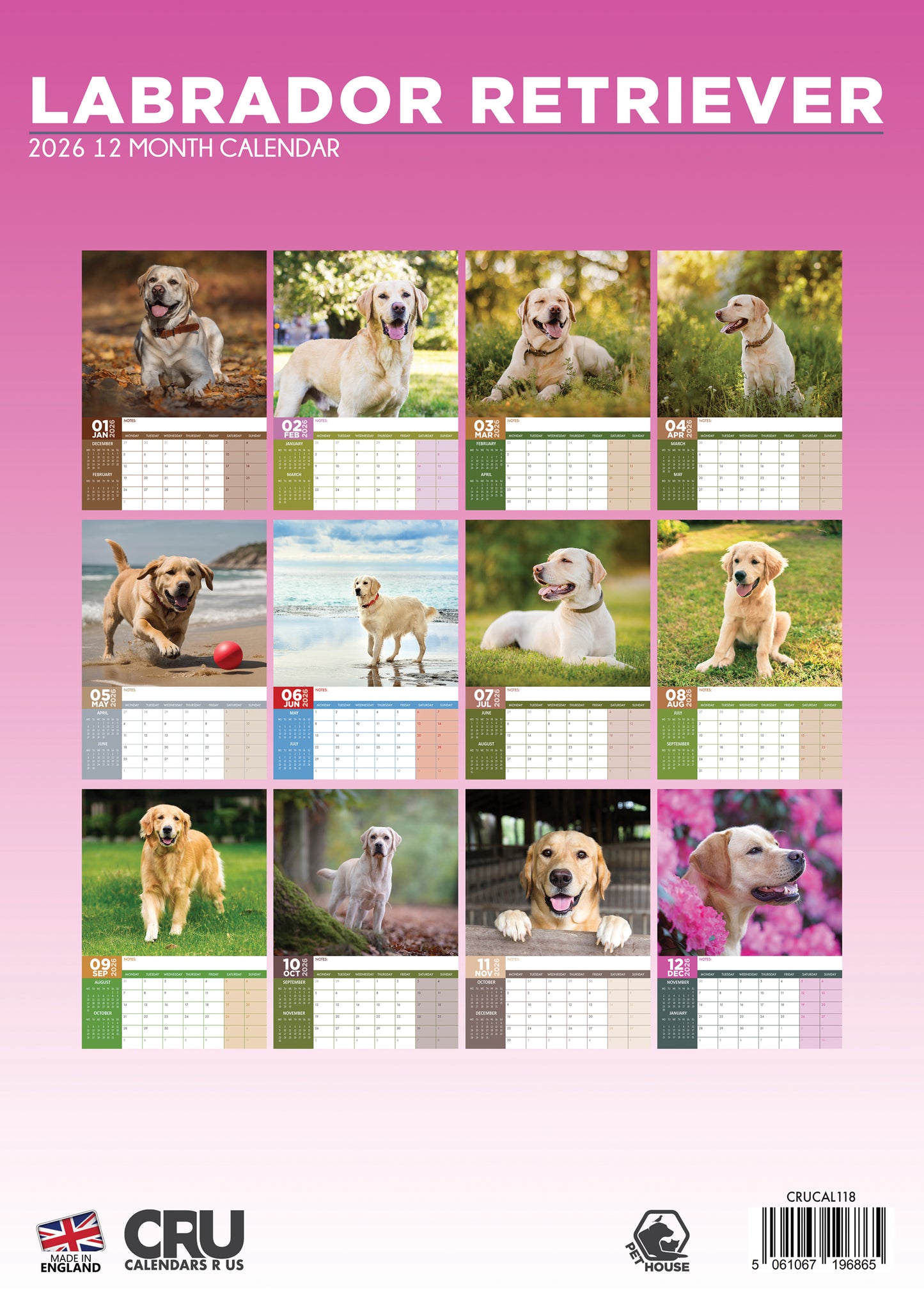 Labrador Retriever - A3 Calendar 2026