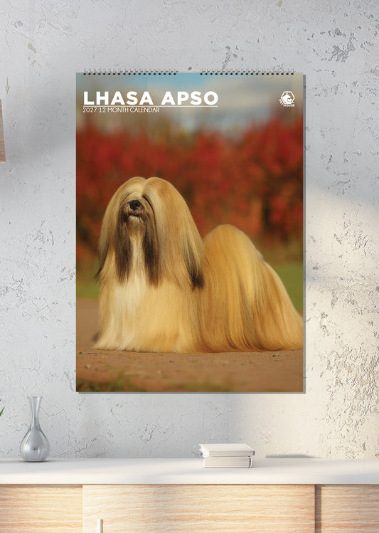 Lhasa Apso - A3 Calendar 2027