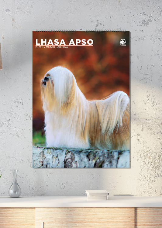 Lhasa Apso - A3 Calendar 2026