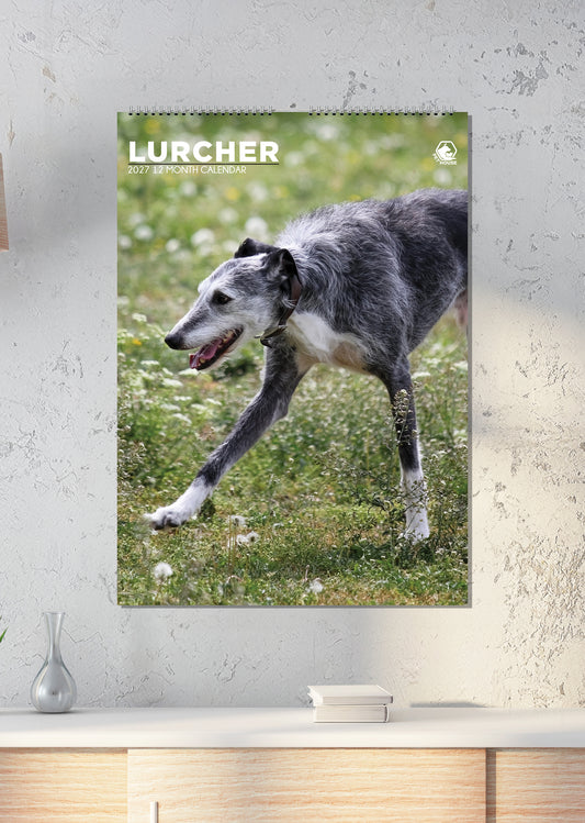 Lurcher - A3 Calendar 2027