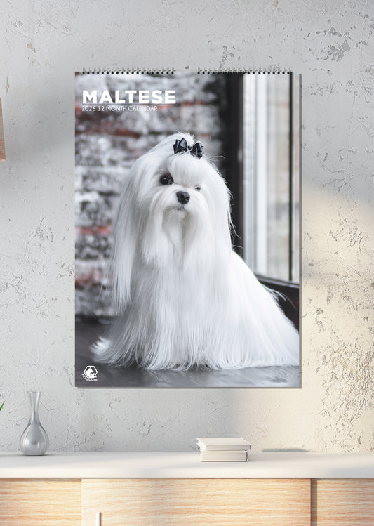 Maltese - A3 Calendar 2026