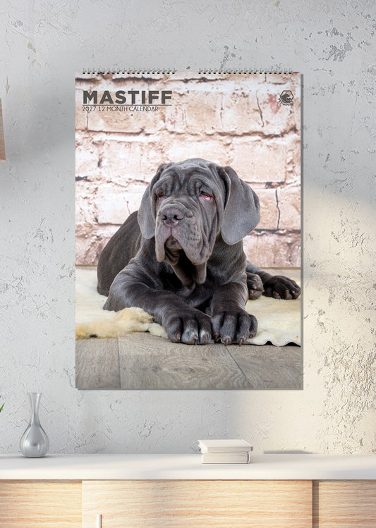 Mastiff - A3 Calendar 2027