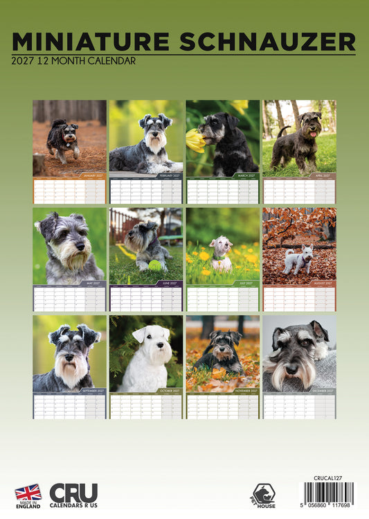 Miniature Schnauzer - A3 Calendar 2027