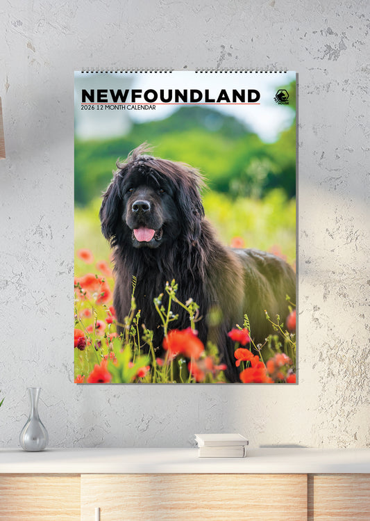 Newfoundland - A3 Calendar 2026